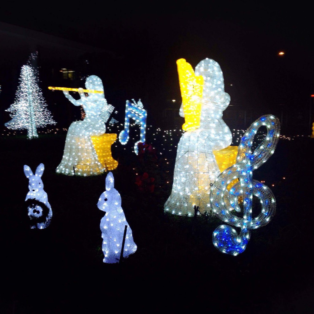 鳥大医学部様　エントランス➁